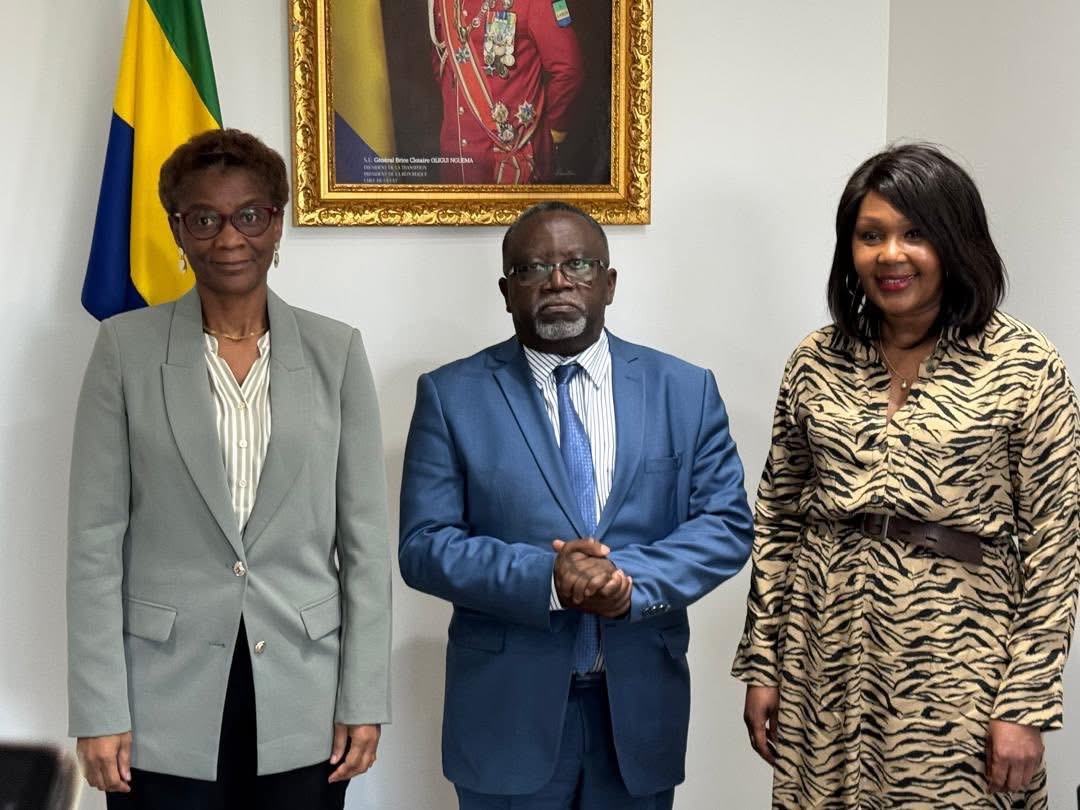 PNCD : Louise Pierrette MVONO échange avec la diaspora gabonaise en France